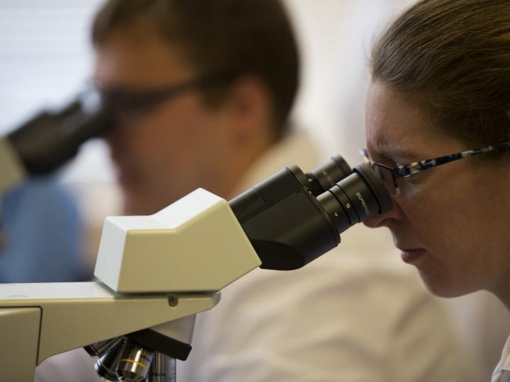 Close up of students using the microscopes